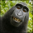 Avatar-Phil.png
